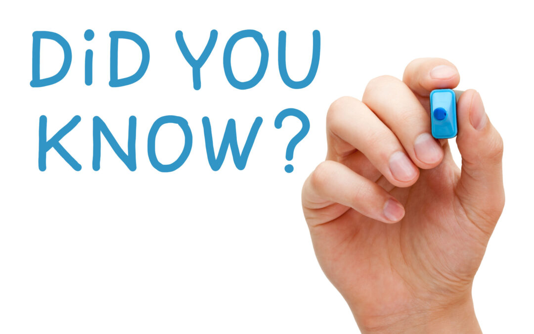 5 Tips on How Your Team Can Win at Trivia Nights